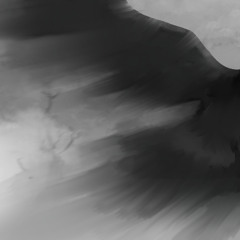 skybound