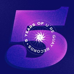 PREMIERE: Snippets 5 Years Of U're Guay Records