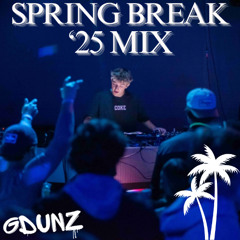SPRING BREAK ’25 MIX (Gdunz)