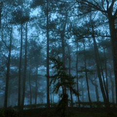 Twilight biome