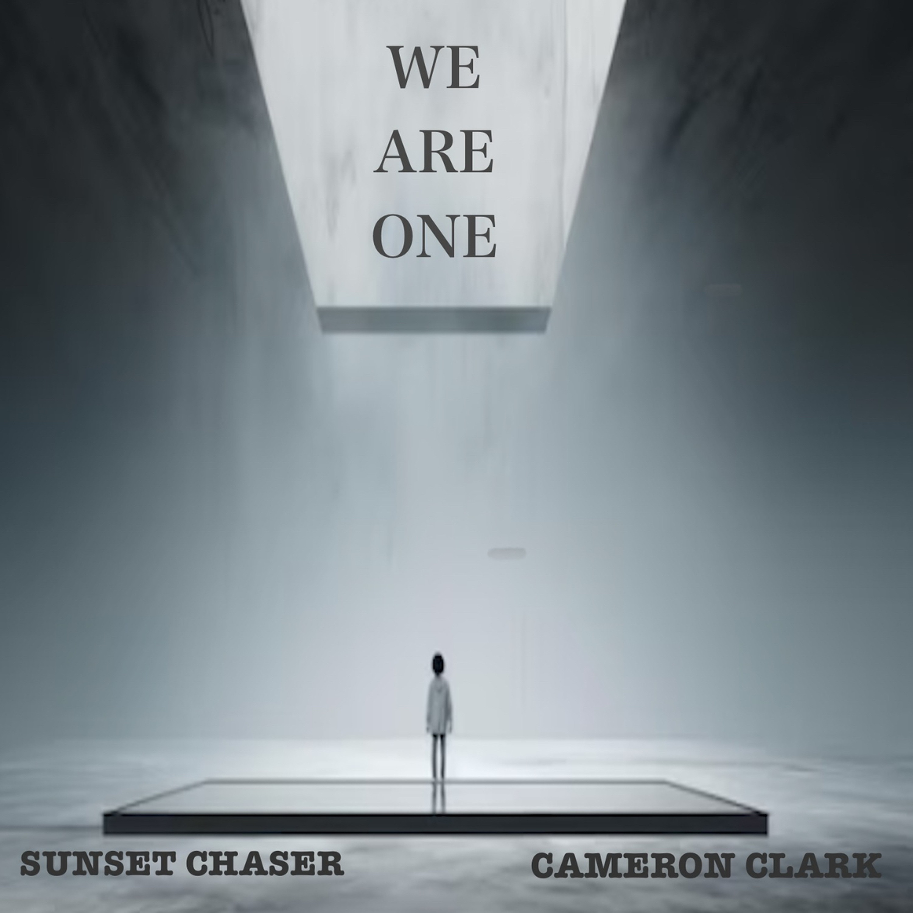 Ep. 43 "We Are One" (Deep Progressive Breaks, Melodic Breaks,Vinyl Mix) episode artwork