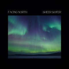 north lights-sheer sofer