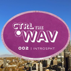 CTRL the WAV 002 | Introspkt