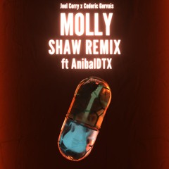 Joel Corry & Cedric Gervais - Molly (SHAW ft. AníbalDTX Remix)