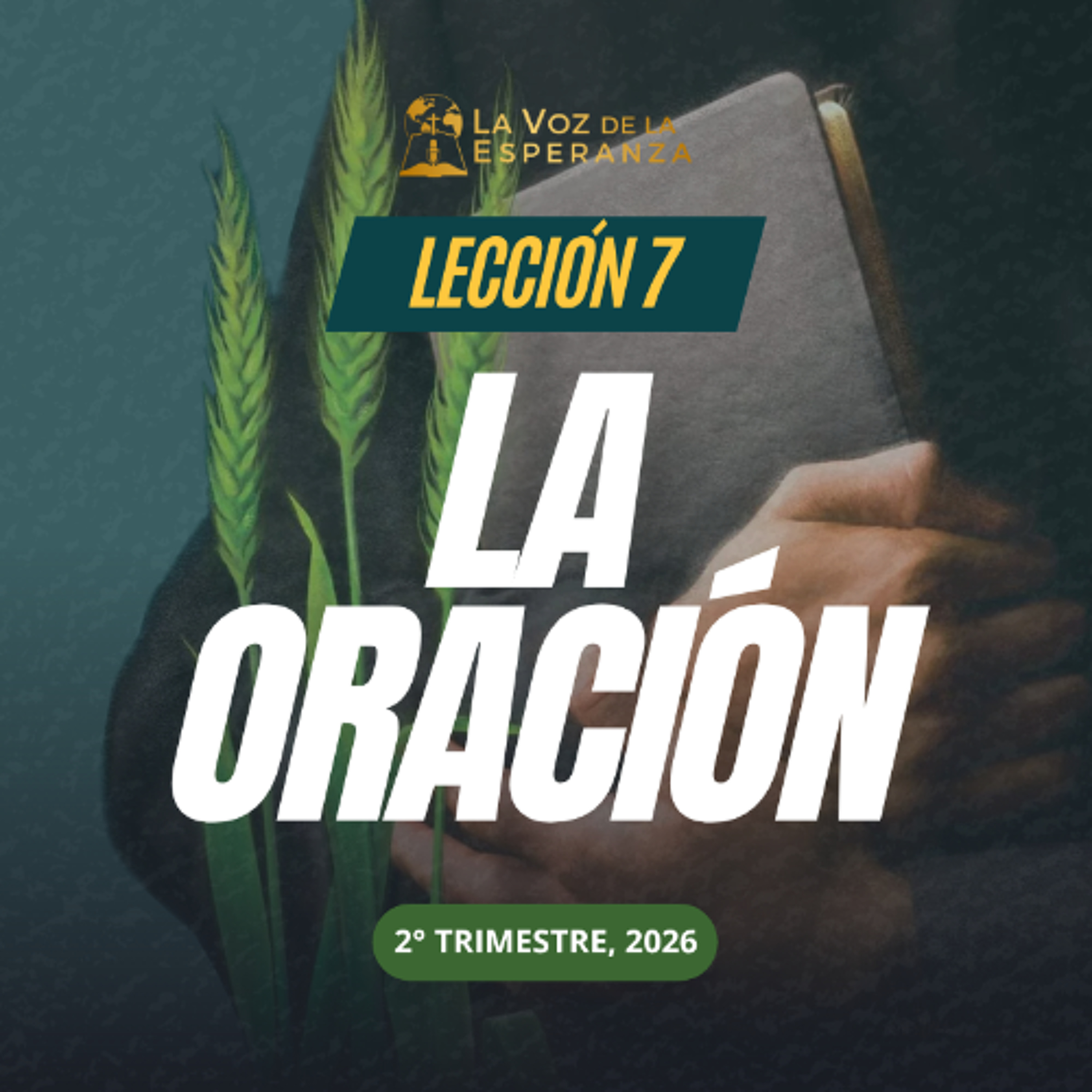 Lección 07 - La oración