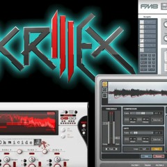 Skrillex Andrew 2013 Fm8