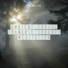 Ambient Forest : Shamanic Drum Journey