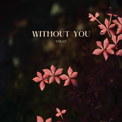 Without You