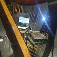 Primary respiratory mechanism work in progress