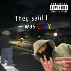 They Said I Was GAY