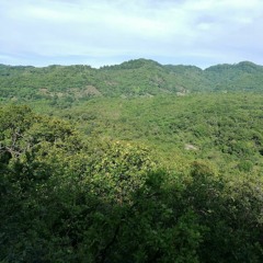 Forest, Río Sapo, El Salvador
