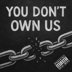 We Ain't Your Negros!