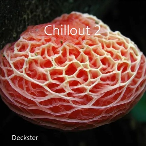 ChillOut 2