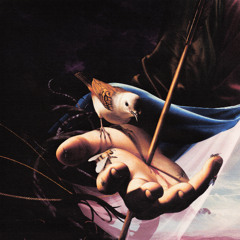 Baby Pantera — 'Support vs Congratulations' (SLA28)