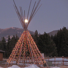 Leland Billie and Alden billie Nov 23, 2020