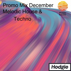 Melodic House & Techno Promo Mix December - Hodgie