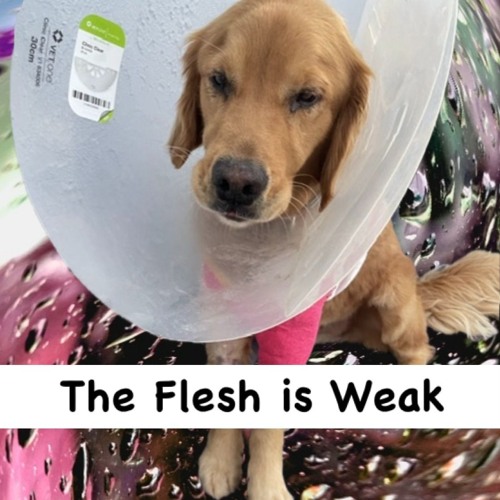 The Flesh is Weak