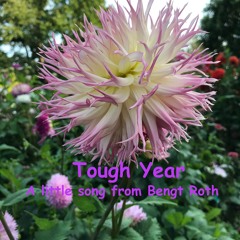 Tough Year