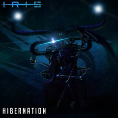 Hibernation