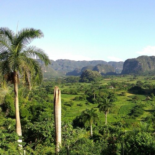 DEV & Pietro - Woke Island