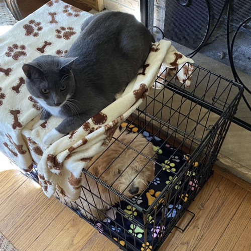 im a bad person but so r u feat ploua prod iof x used beats