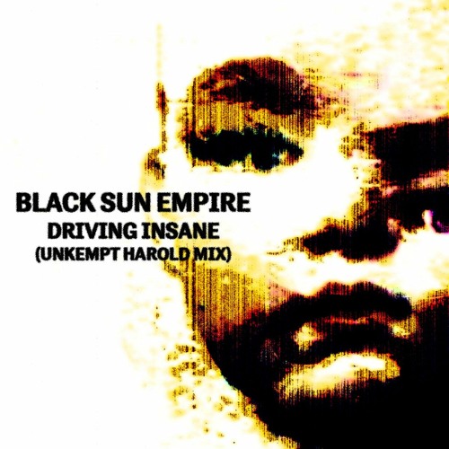 Black Sun Empire - Driving Insane (Unkempt Harold Mix) FREE DOWNLOAD