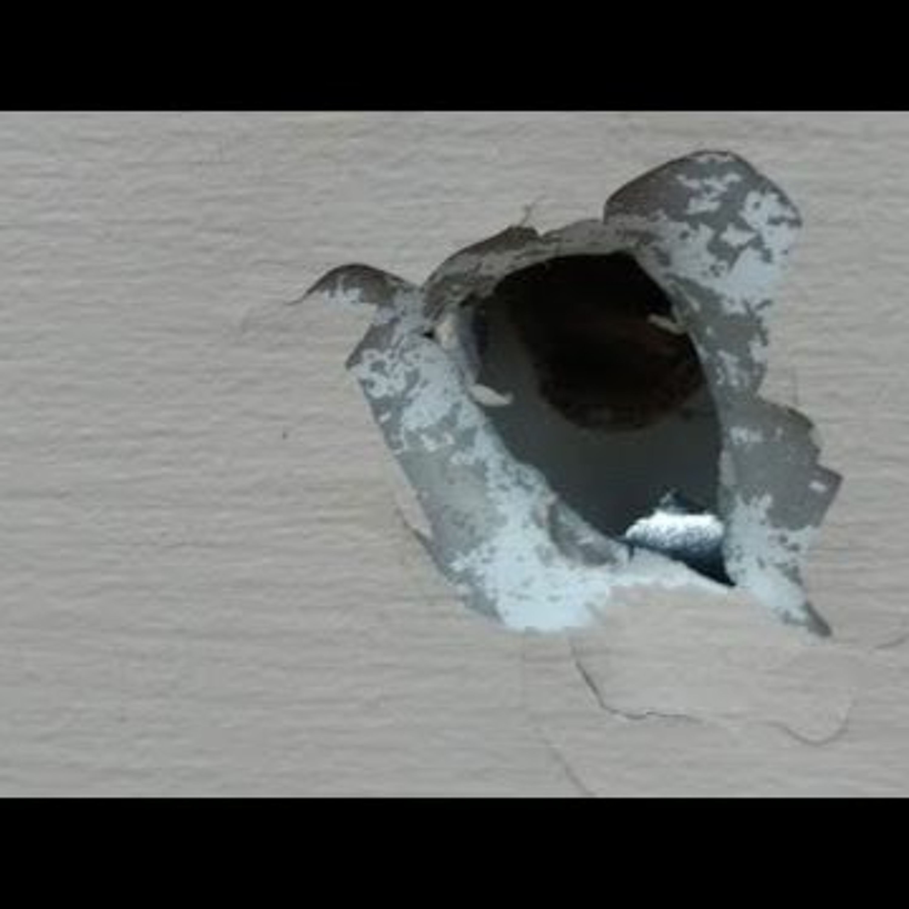 Weird News Week | DS062