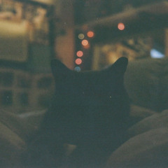 bedroom (prod. by clio)