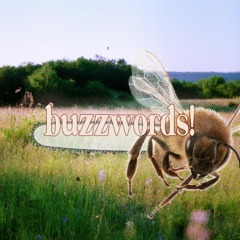 buzzwords! ft. Joolie