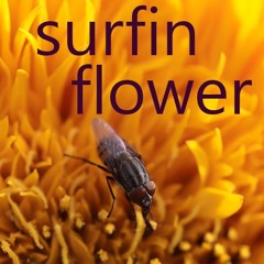 Surfin Flower