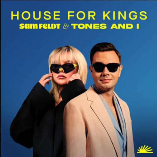 House For Kings (MAV7NS Remix)(demo)
