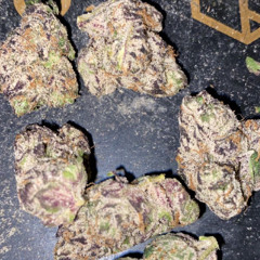 Hopoutblick x poleboy juju PTSD