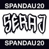 SPND20 Mixtape by Sera J DJ mix artwork - Electronic music tracklist cover image