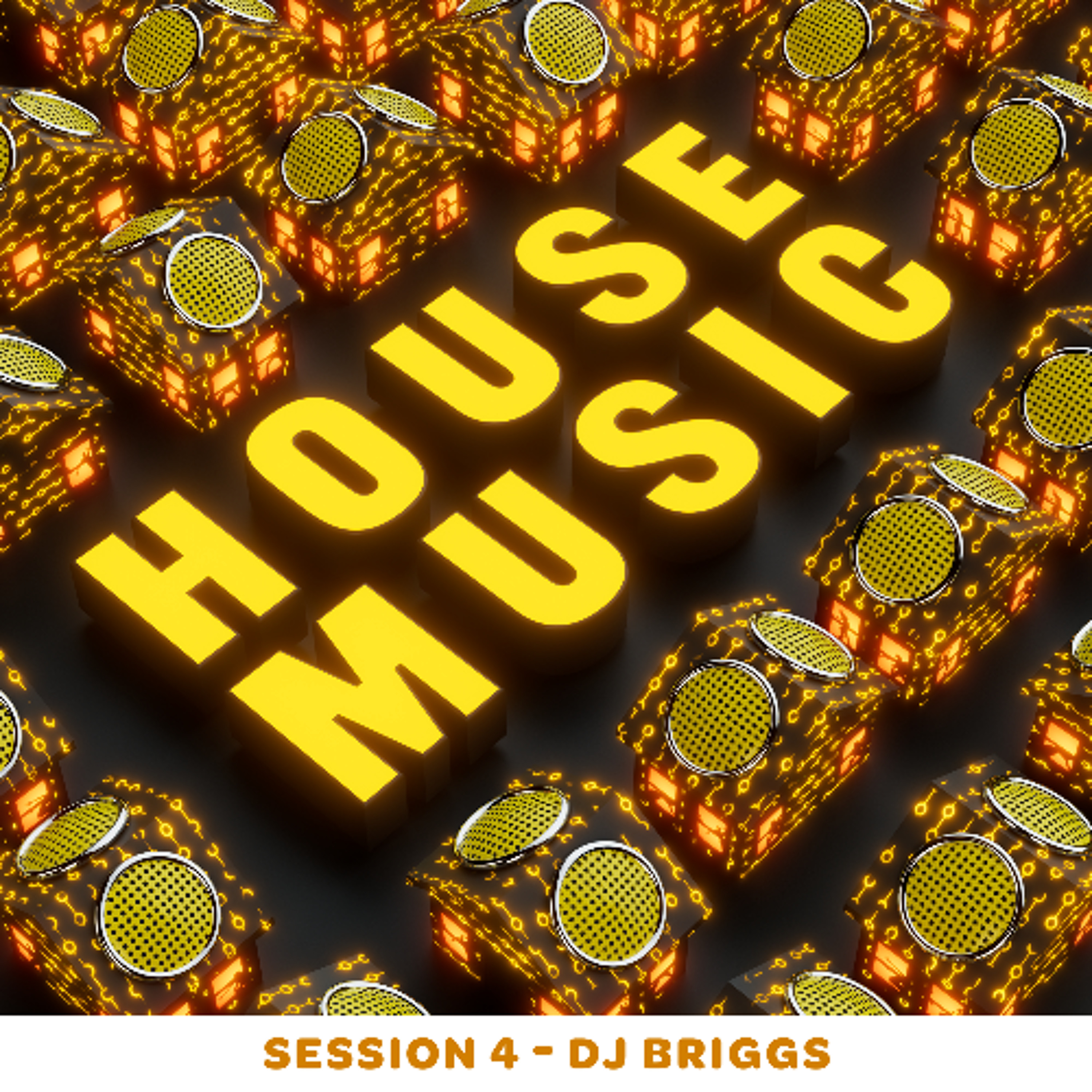 HOUSE MUSIC SESSION 4 - DJ BRIGGS episode artwork