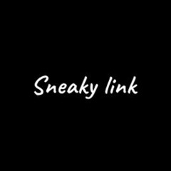 Sneaky Linkin ( Prod . Raygen Beats v3 )