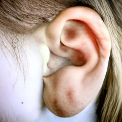 Ears