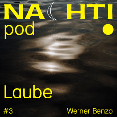Live from Laube #3 // Werner Benzo