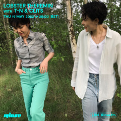 Lobster Theremin Rinse FM Residency