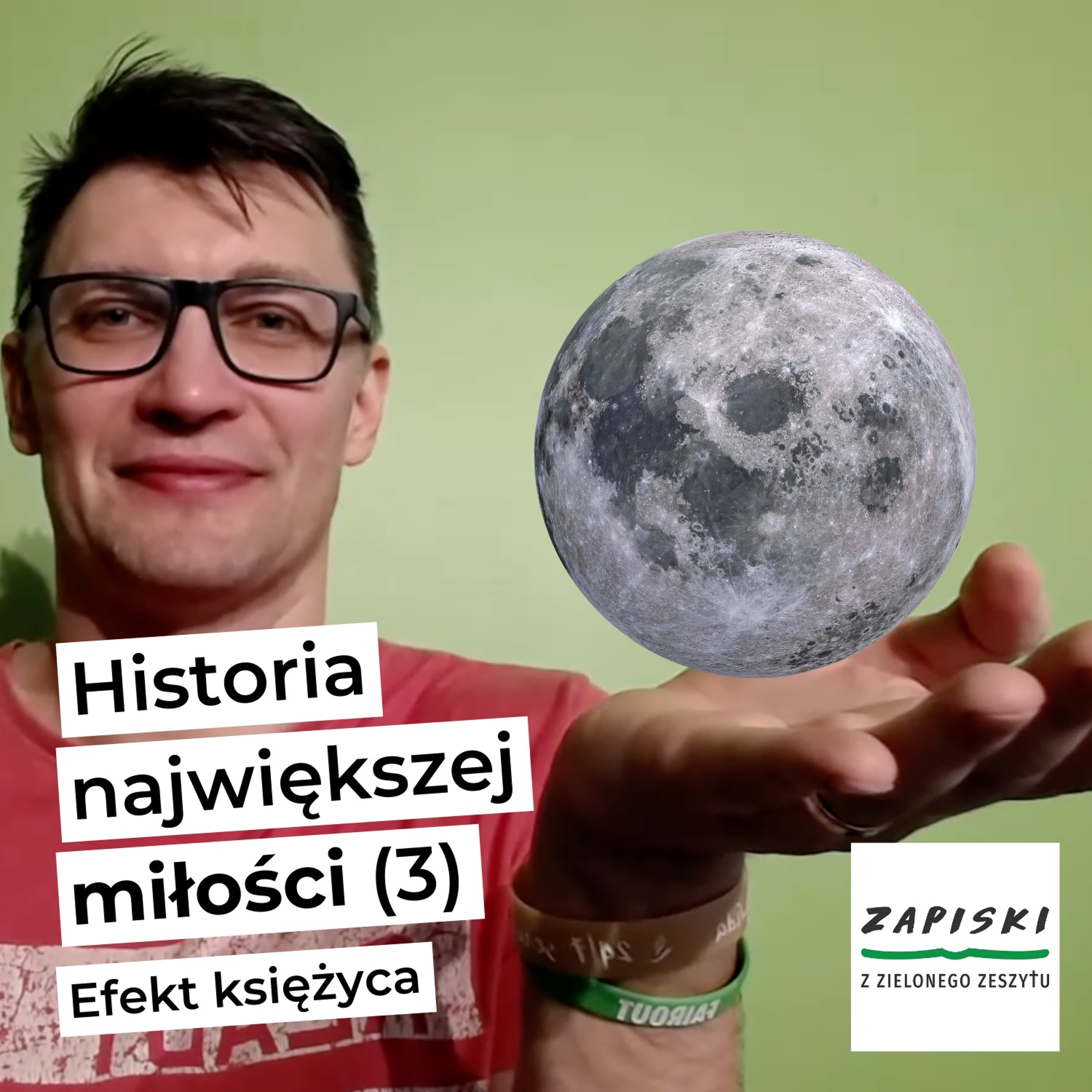 Zapiski z zielonego zeszytu