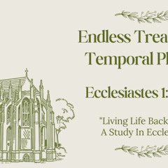 Endless Treasure for Temporal Pleasure  Ecclesesiastes 1_12-2_11  November 9 2025