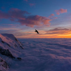 "Nonstop" [Lofi Version + sped up] || Drake, Cerulean