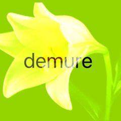 demure.ig