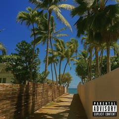 Palm Tree (feat. lil Lin lonely luv)