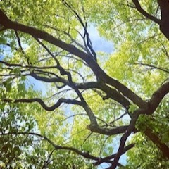 ドラムサウンド１９