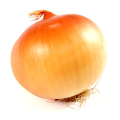 Onion
