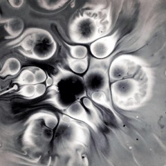 In Contact 08/19 L+K <3