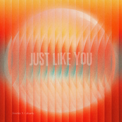 Just Like You