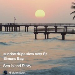 Sea Island Story.(St. Simon Bay)