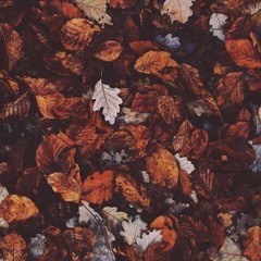 Smother (prod. sorrow bringer)