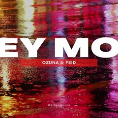 Ozuna & Feid - Hey Mor(Remix) Jg Rmx